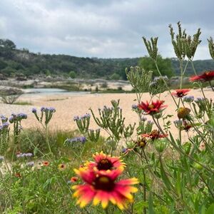 Meet your Posher, Paige